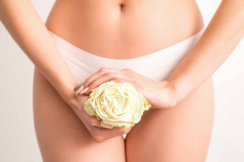 Young woman's hands holding a white flower